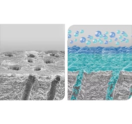 Schéma montrant l'efficacité de la technologie Elmex Sensitive pour obturer les tubules dentinaires et réduire la sensibilité.