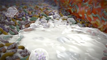 Affaiblit et élimine les bactéries présentes sur les dents, la langue, les joues et les gencives Affaiblit et élimine les bactéries présentes sur les dents, la langue, les joues et les gencives