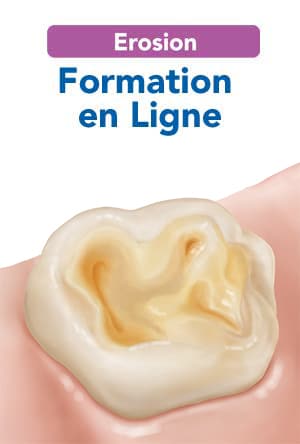 Formation en ligne 