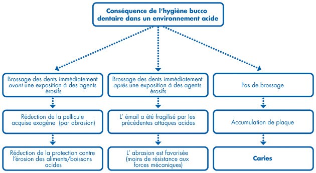Prévention et traitement de l’érosion Prévention et traitement de l’érosion