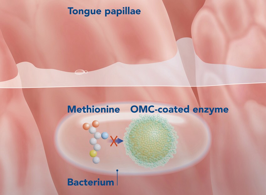 Methionin Methionin